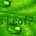 Is Leaf?